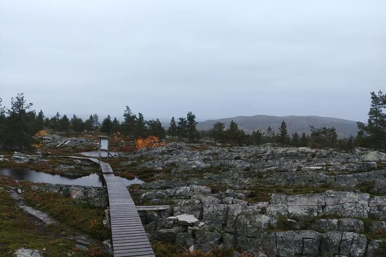 Kivitunturi